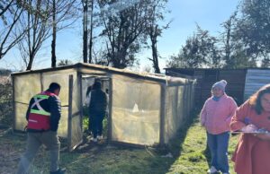 Luego de la tormenta, Pucón muestra la mayor afectación en su economía rural