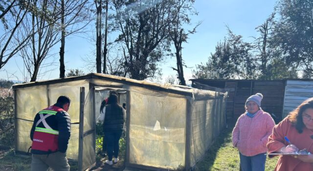 Luego de la tormenta, Pucón muestra la mayor afectación en su economía rural