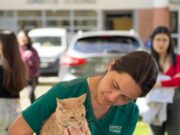 UST Temuco reunió a expertos para abordar los desafíos de la tenencia responsable de mascotas en Chile