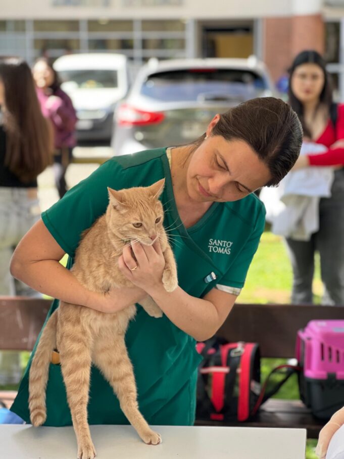 UST Temuco reunió a expertos para abordar los desafíos de la tenencia responsable de mascotas en Chile