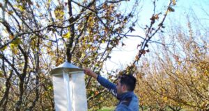 Con proyecto Corfo se realizará Seminario para fortalecer el manejo de plagas en el cultivo de avellano europeo