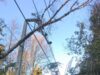 Casi 19 mil clientes siguen sin luz en La Araucanía: fuertes vientos complican las reparaciones