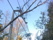 Casi 19 mil clientes siguen sin luz en La Araucanía: fuertes vientos complican las reparaciones