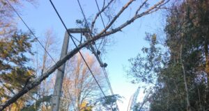 Casi 19 mil clientes siguen sin luz en La Araucanía: fuertes vientos complican las reparaciones