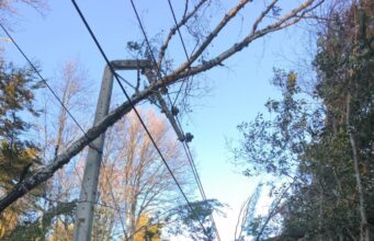 Casi 19 mil clientes siguen sin luz en La Araucanía: fuertes vientos complican las reparaciones