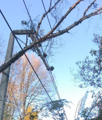 Casi 19 mil clientes siguen sin luz en La Araucanía: fuertes vientos complican las reparaciones