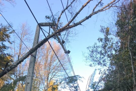 Casi 19 mil clientes siguen sin luz en La Araucanía: fuertes vientos complican las reparaciones