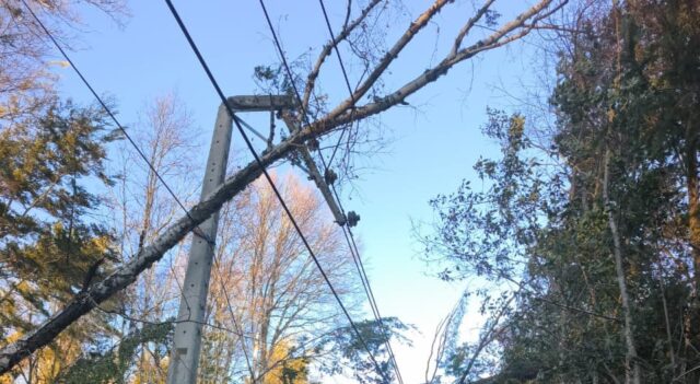 Casi 19 mil clientes siguen sin luz en La Araucanía: fuertes vientos complican las reparaciones