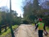 Primer balance del sistema frontal en Freire: municipio mantiene despliegue por múltiples emergencias asociadas a viento y lluvia