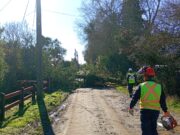 Primer balance del sistema frontal en Freire: municipio mantiene despliegue por múltiples emergencias asociadas a viento y lluvia