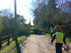 Primer balance del sistema frontal en Freire: municipio mantiene despliegue por múltiples emergencias asociadas a viento y lluvia