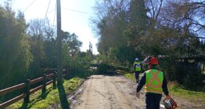 Primer balance del sistema frontal en Freire: municipio mantiene despliegue por múltiples emergencias asociadas a viento y lluvia