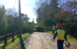 Primer balance del sistema frontal en Freire: municipio mantiene despliegue por múltiples emergencias asociadas a viento y lluvia