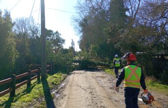 Primer balance del sistema frontal en Freire: municipio mantiene despliegue por múltiples emergencias asociadas a viento y lluvia
