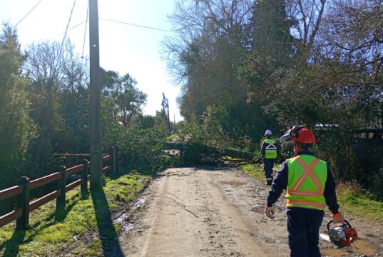 Primer balance del sistema frontal en Freire: municipio mantiene despliegue por múltiples emergencias asociadas a viento y lluvia