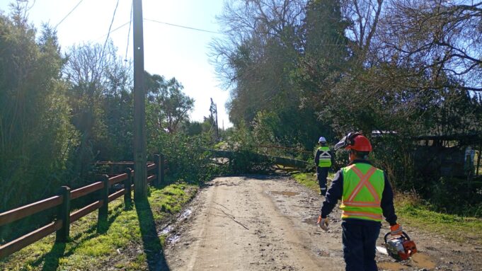 Primer balance del sistema frontal en Freire: municipio mantiene despliegue por múltiples emergencias asociadas a viento y lluvia