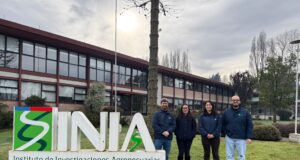 INIA Carillanca fortalece investigación en horticultura sostenible con tres estudios presentados en congreso internacional