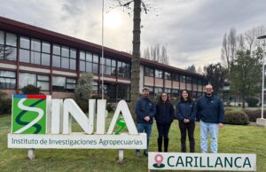 INIA Carillanca fortalece investigación en horticultura sostenible con tres estudios presentados en congreso internacional