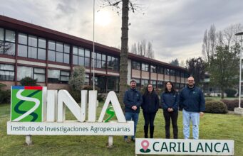 INIA Carillanca fortalece investigación en horticultura sostenible con tres estudios presentados en congreso internacional