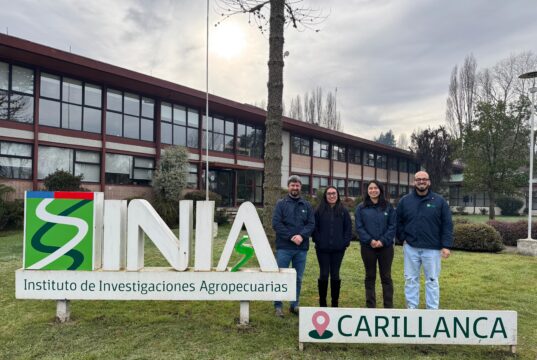 INIA Carillanca fortalece investigación en horticultura sostenible con tres estudios presentados en congreso internacional