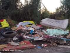 «Cada vez hay más basura»: vecinos alertan por proliferación de microbasurales en sector rural de Padre Las Casas