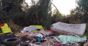 «Cada vez hay más basura»: vecinos alertan por proliferación de microbasurales en sector rural de Padre Las Casas