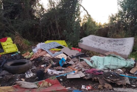 «Cada vez hay más basura»: vecinos alertan por proliferación de microbasurales en sector rural de Padre Las Casas