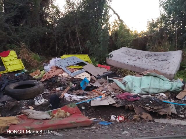 «Cada vez hay más basura»: vecinos alertan por proliferación de microbasurales en sector rural de Padre Las Casas