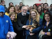 Iniciativa pionera en Chile: Gobierno de La Araucanía impulsa inédito programa para enfrentar la sobrepoblación de perros y gatos