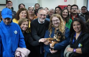Iniciativa pionera en Chile: Gobierno de La Araucanía impulsa inédito programa para enfrentar la sobrepoblación de perros y gatos