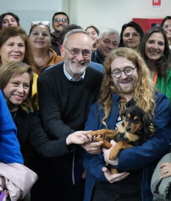 Iniciativa pionera en Chile: Gobierno de La Araucanía impulsa inédito programa para enfrentar la sobrepoblación de perros y gatos