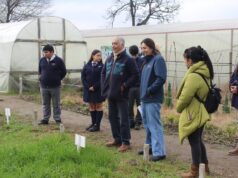 Autoridades regionales destacan modelo educativo del Liceo Agrícola El Vergel de Angol