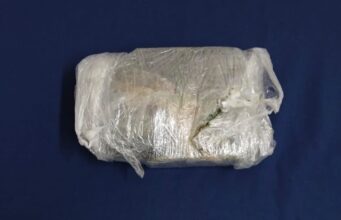 Detienen a hombre que transportaba cocaína en bus interprovincial rumbo a Temuco