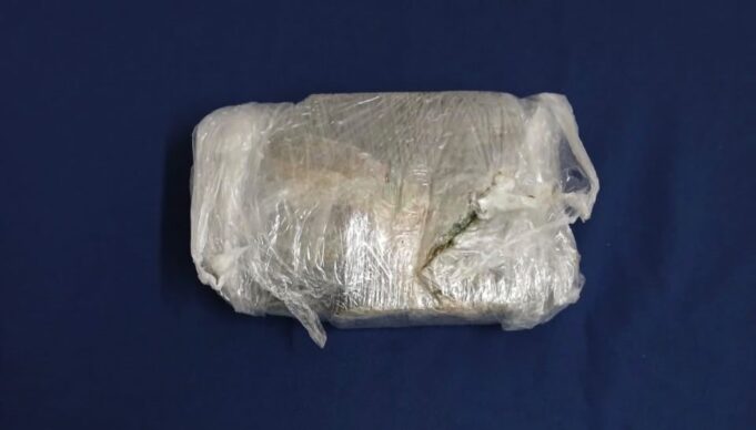 Detienen a hombre que transportaba cocaína en bus interprovincial rumbo a Temuco