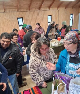 Comunidad Juan Amador Ayelef de Huente Grande de Freire realizó exitoso txafkintu y mizawun para fortalecer la vida comunitaria