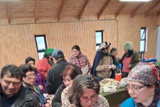 Comunidad Juan Amador Ayelef de Huente Grande de Freire realizó exitoso txafkintu y mizawun para fortalecer la vida comunitaria