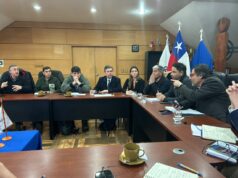 Autoridades de Gobierno, municipio y gremios del turismo trazan en Pucón una hoja de ruta tras las últimas emergencias