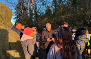 Movilización ciudadana y gestión municipal permitieron inicio de trabajos de reposición de luz en sector costa de Pitrufquén