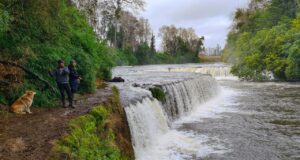 Gorbea apuesta por el turismo: aprueban compra del salto del Donguil para un futuro ecoparque