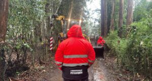Sistema frontal no afectó, mayormente, a Pitrufquén: municipio mantiene despliegue preventivo