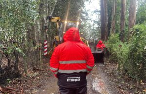 Sistema frontal no afectó, mayormente, a Pitrufquén: municipio mantiene despliegue preventivo