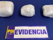 Perro detector «Apolo» frustró millonario envío de droga por encomienda en La Araucanía