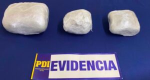 Perro detector «Apolo» frustró millonario envío de droga por encomienda en La Araucanía