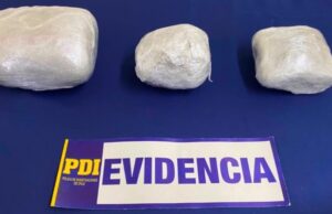 Perro detector «Apolo» frustró millonario envío de droga por encomienda en La Araucanía