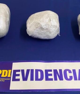 Perro detector «Apolo» frustró millonario envío de droga por encomienda en La Araucanía