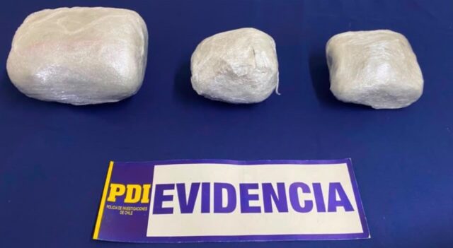 Perro detector «Apolo» frustró millonario envío de droga por encomienda en La Araucanía