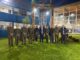 Cholchol pasará de retén a tenencia de Carabineros