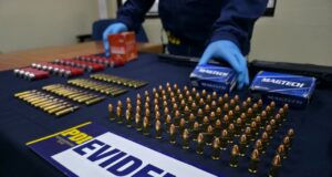 Investigación por amenazas deja una mujer detenida por tenencia ilegal de armamento en Gorbea