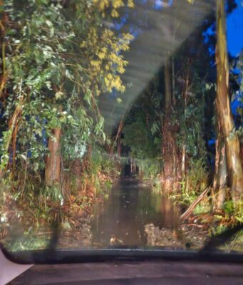 Freire: familias de Allipén denuncian riesgo de inundación y piden al MOP intervenir camino y canales de desagüe