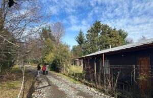 Trabajo conjunto entre el municipio de Villarrica y vecinos permite mantener la conectividad provisoria en Loncotraro